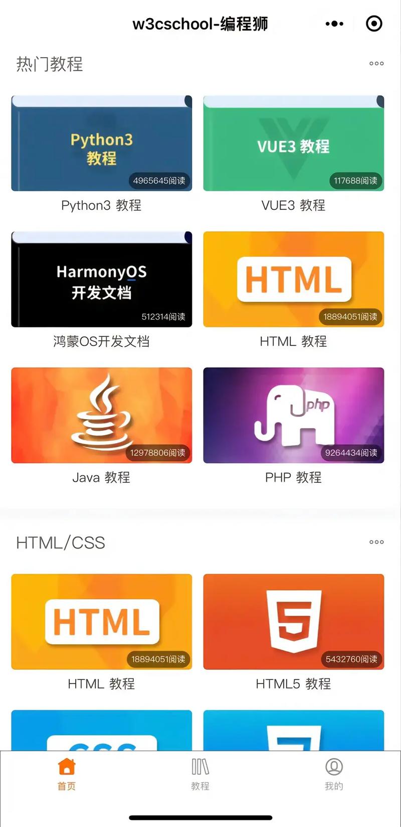 初学编程怎么开始(初学编程入门)
