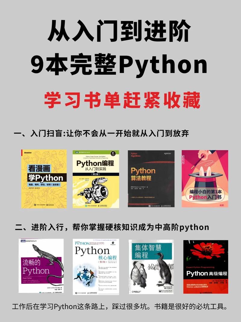 程序员入门先学什么(程序员入门先学什么好)