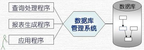 数据库系统一般由什么组成(数据库系统组成,详细说明各个组件)