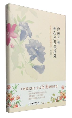 设计模板在哪里找(设计模板速寻宝典：获取丰富模板资源的指南)