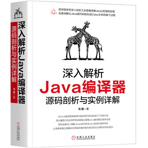 编程是什么课程内容(编程的基础课程：详细剖析编程入门知识)