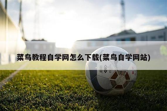 菜鸟教程怎么看教学视频(想看菜鸟)