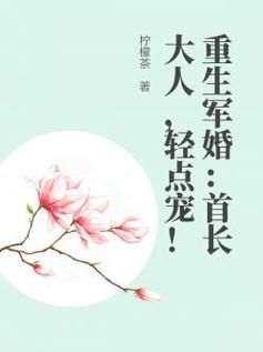 重生之首长的小媳妇(重生军婚,首长娶我)