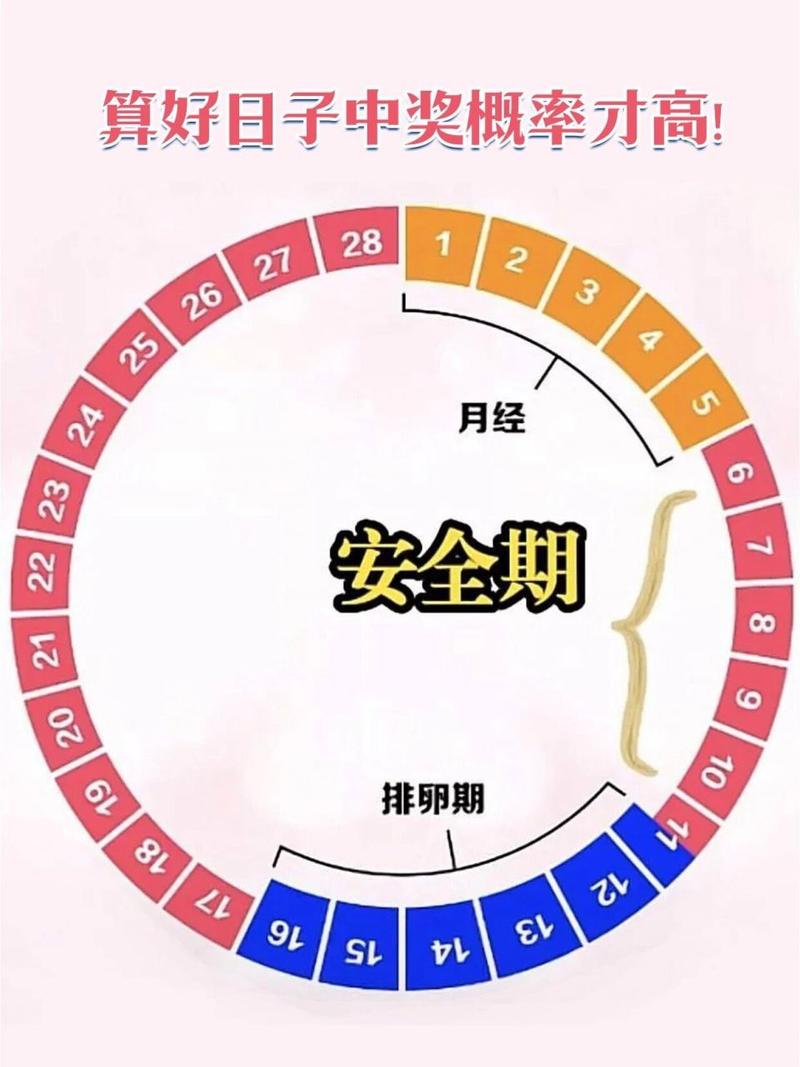 女性生理期安全期表(生理期排卵期查询表)