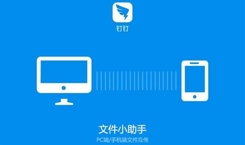 钉钉电脑版官方网站(钉钉电脑版官网：钉钉官方发布，功能全面)