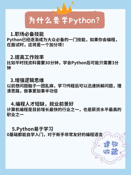 小白怎么学编程(小白学编程，轻松入门)