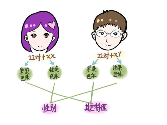预测宝宝未来长相(预测宝宝未来长相,专家详细说明)