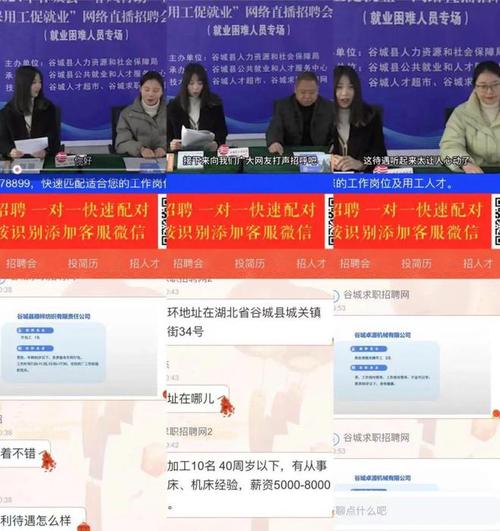 黑光人才招聘网(黑光人才招聘网：高效招聘，精准匹配)