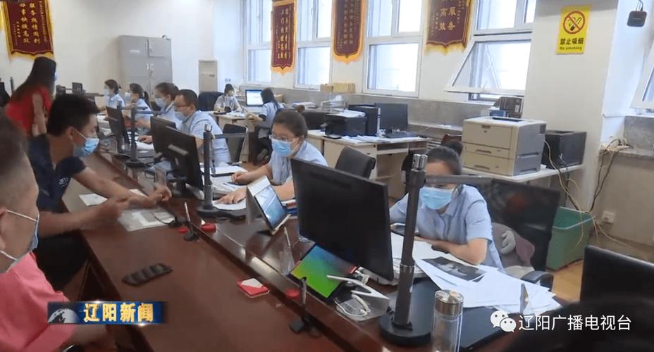 辽阳市政务服务网(辽阳市政务服务网，办事便捷，提升效率)