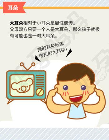 预测宝宝长相(预测宝宝长相：了解遗传学影响因素)