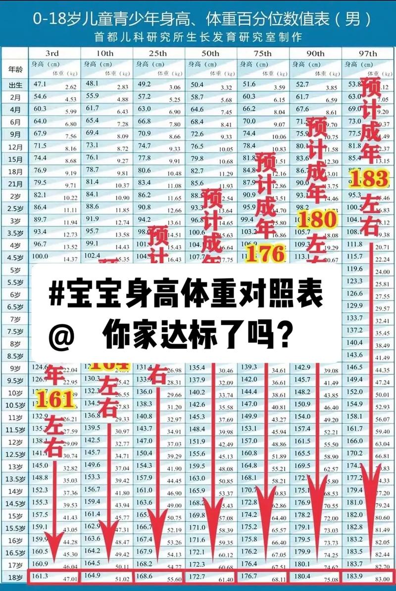预测宝宝长相(预测宝宝长相：了解遗传学影响因素)