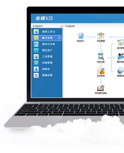 金蝶kis专业版(金蝶kis专业版：会计做账好帮手)