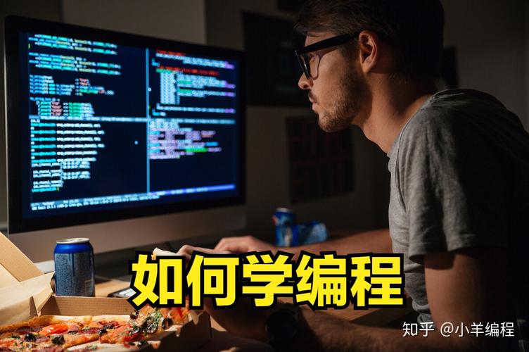 零基础学编程(学程序员需要什么基础)