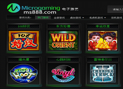 电子游戏平台(998娱乐游戏)