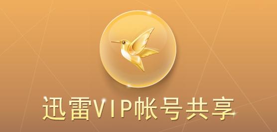 迅雷白金会员分享(迅雷白金会员带加速吗)