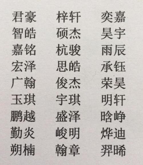 取名字大全男孩生辰八字起名(生辰八字查五行取名免费)