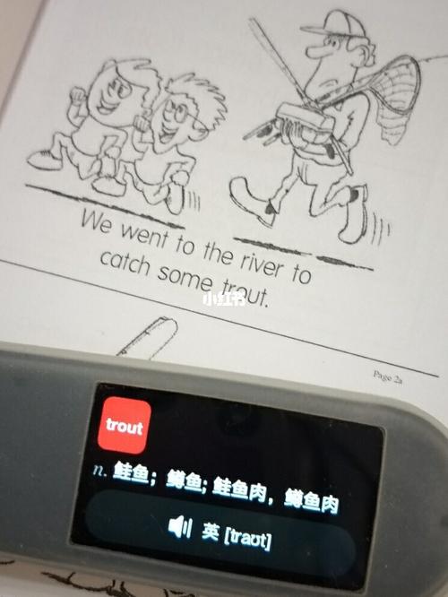 catch怎么读(Catch的详解：发音、含义与用法)