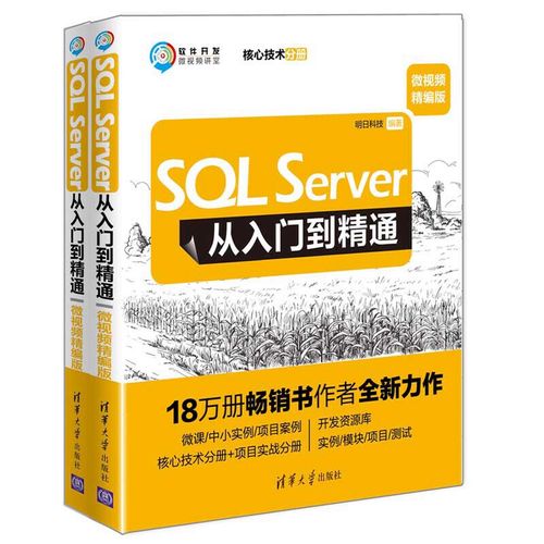 学sql能干什么(学SQL，掌握数据之道：从入门到精通)