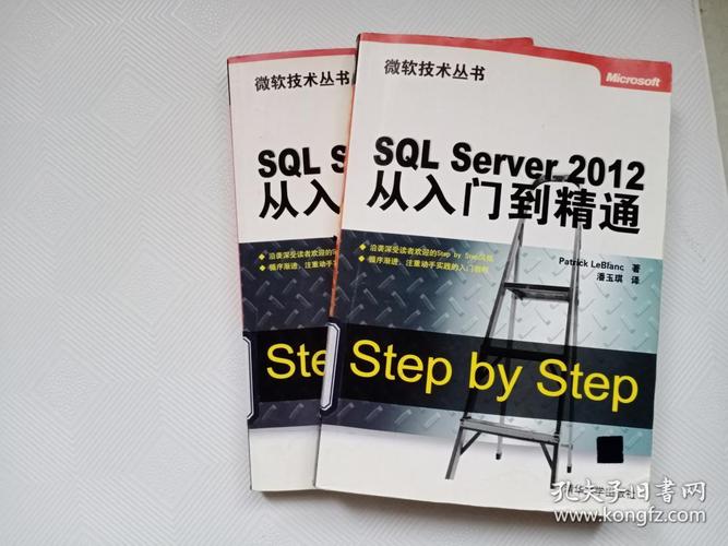 学sql能干什么(学SQL，掌握数据之道：从入门到精通)