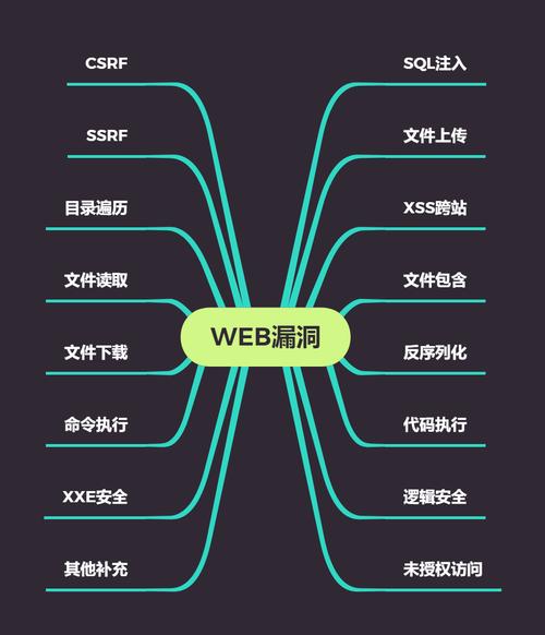 网站漏洞检测工具(网络安全常见漏洞类型)