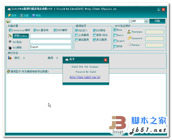 网站漏洞检测工具(网络安全常见漏洞类型)