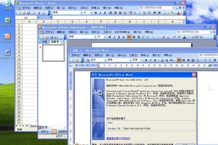 officeexcel2003(Excel 2003 进阶指南：全面掌握办公自动化技能)