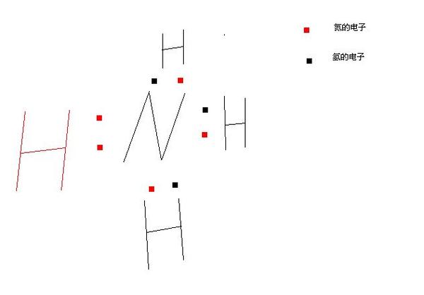 coordinate是什么意思