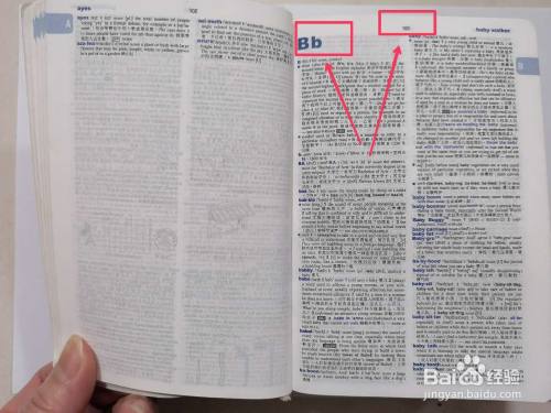 词典在线查词语(在线查词典，轻松掌握词汇精髓)