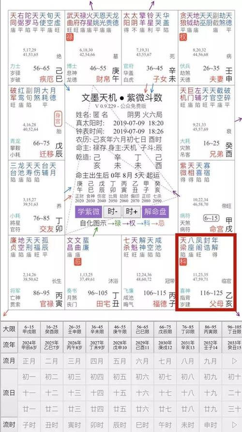 紫微排盘软件(最准确的紫微斗数软件)