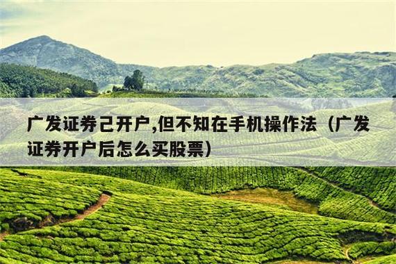 广发证券最新版(广发证券开户的特色)