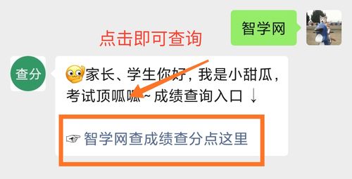 智学网成绩查询入口(智学网学生版成绩查询)