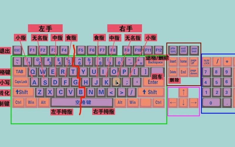 怎样学五笔打字最快(五笔打字的辅助工具)