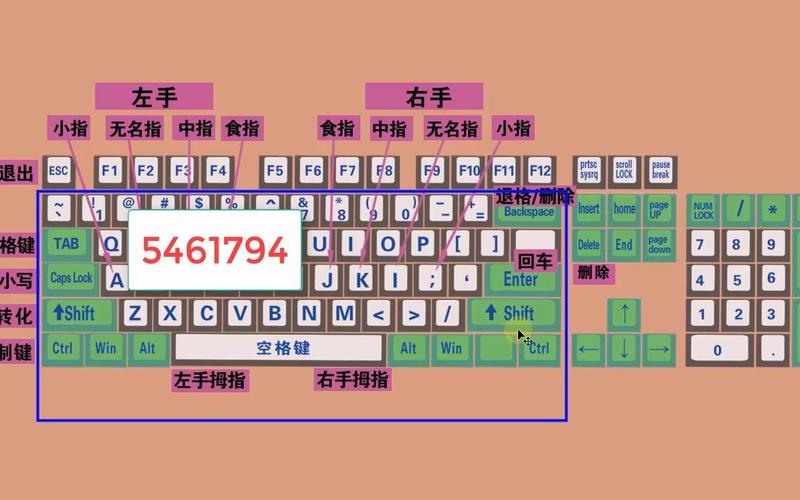 怎样学五笔打字最快(五笔打字的辅助工具)