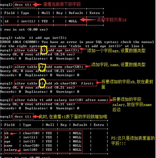 sql语句分为哪几类(SQL 语句分类：详解各类 SQL 用途)
