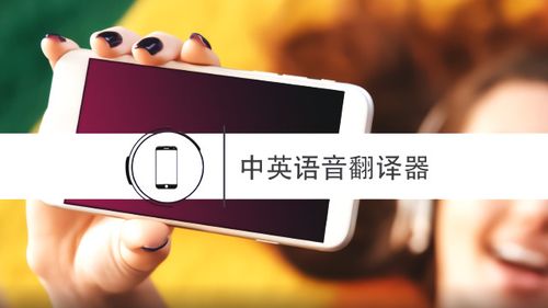 英汉语音翻译器(英汉语音翻译专家，提供准确流利的翻译)