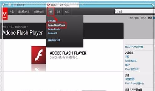 安装flashplayer(flash插件使用方法)