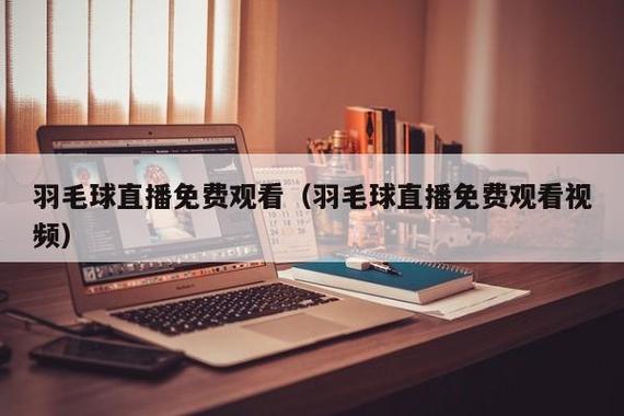 中国体育平台(羽毛球赛事平台)