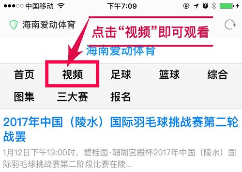 中国体育平台(羽毛球赛事平台)