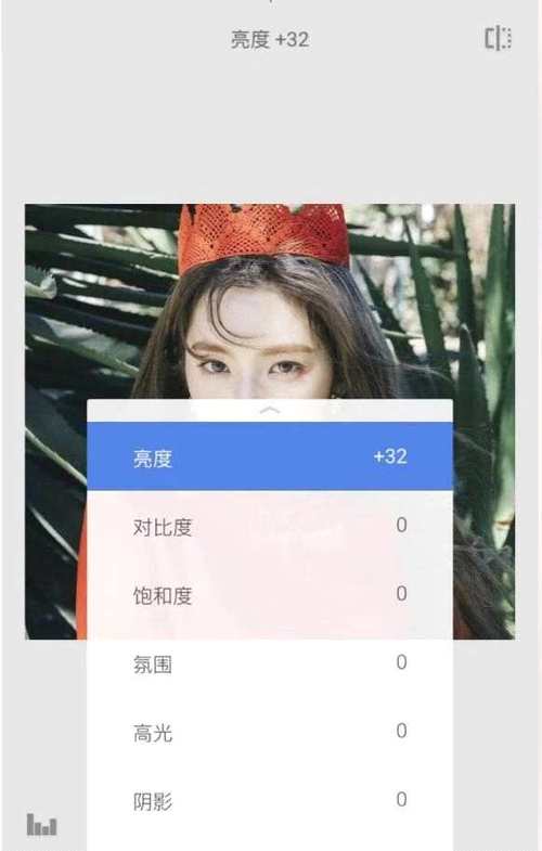 左右脸对称软件(对称脸怎么p)