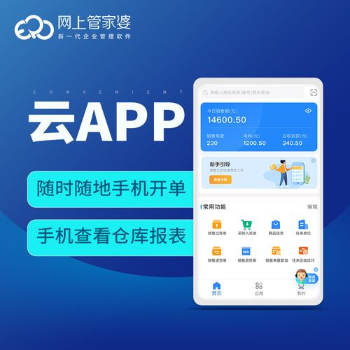 管家婆标准版(管家婆标准版：中小企业管理软件，轻松高效)