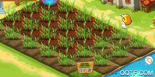 开心农场失败的原因(以前的qq农场手机在哪玩)