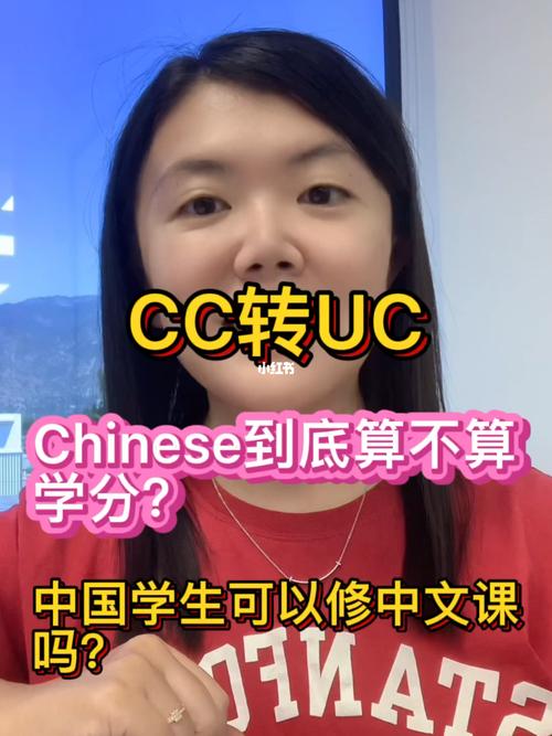 chinese中文什么意思(中文，中国语言的详细说明)