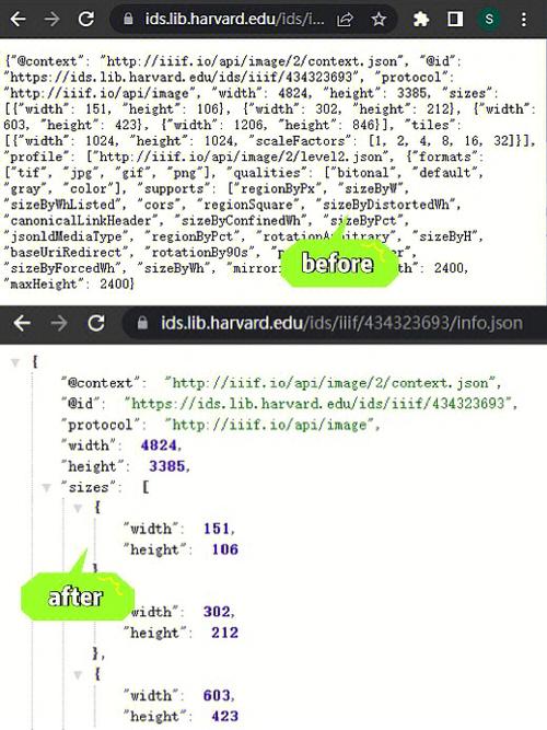json格式化是什么意思(JSON 格式化：JSON数据格式详解)