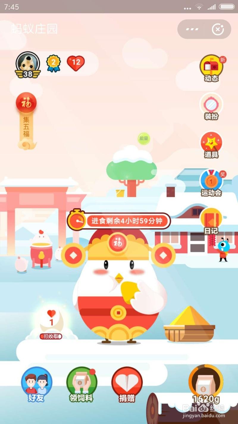 瓜子蚂蚁庄园(瓜子蚂蚁庄园,集瓜籽即领现金券)