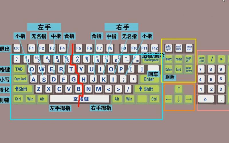 电脑打字练习(电脑打字大师进阶课程：详细技巧指导与练习)