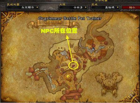 魔兽世界艾露尼斯废墟怎么进去(怀旧服奥格瑞玛宠物训练师在哪)