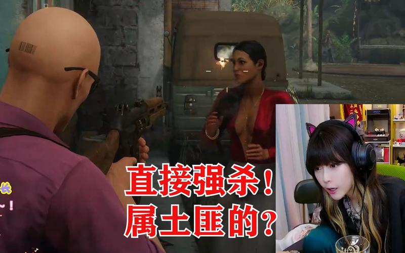 被杀的杀手攻略百度云(杀手2为什么不能上线)