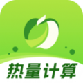 热量计数器下载-热量计数器2023版v9.5.5