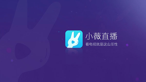 小薇安卓版