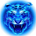 四虎影视免vip下载-四虎影视免vip免费版v9.1.1